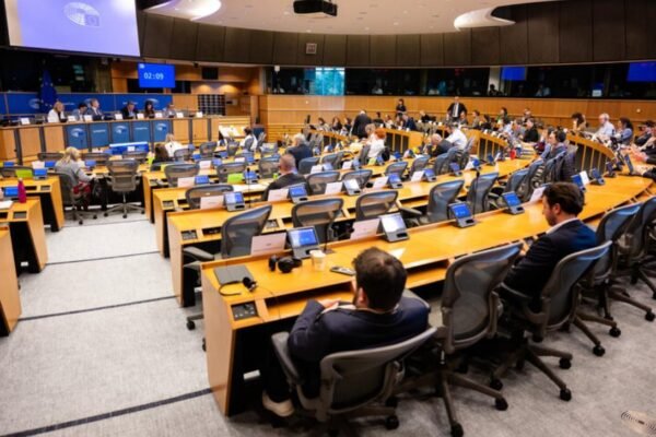 PETI Committee European Parliament (2025) © EP